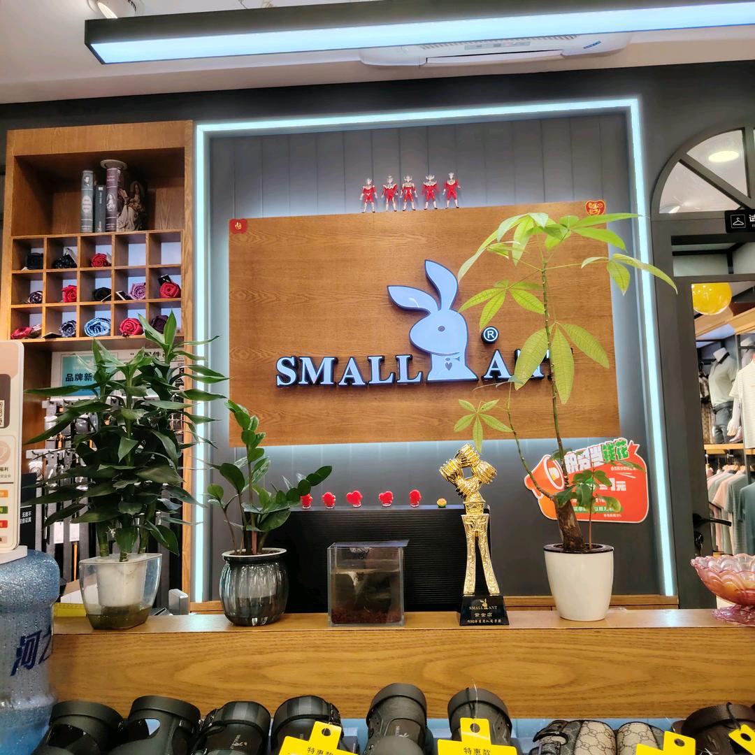 紫金店花花公子