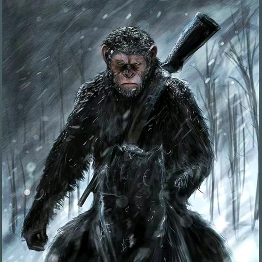 ℳ₯㎕孤独的肉夹馍