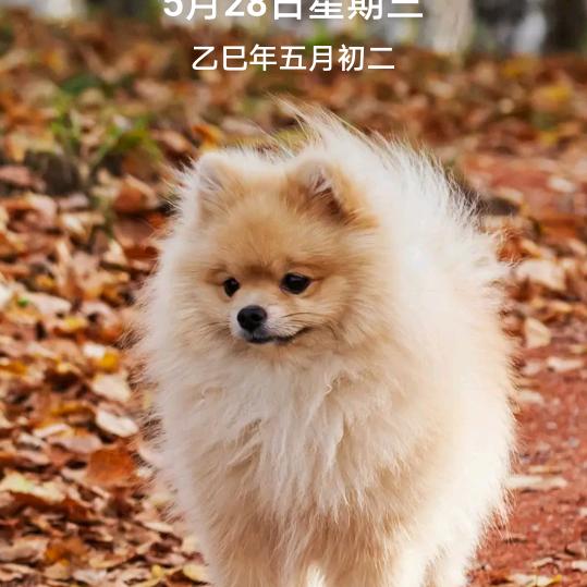 乘风破浪