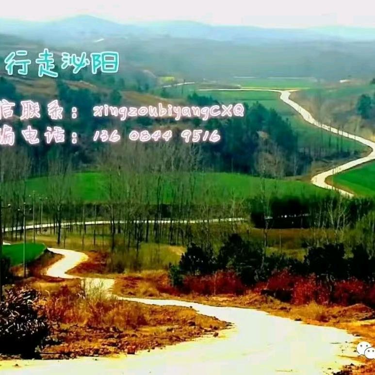 行走泌阳