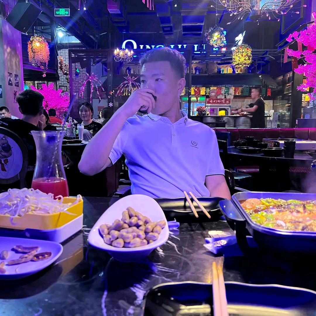 独来独往的大雁