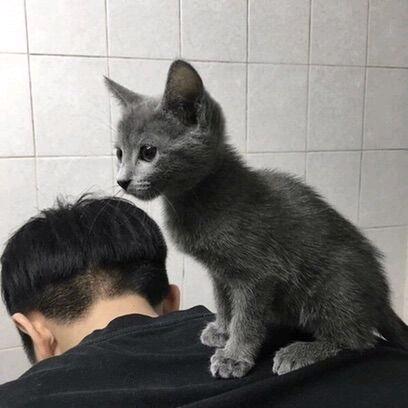 退休的员长