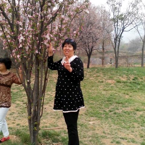 杨华