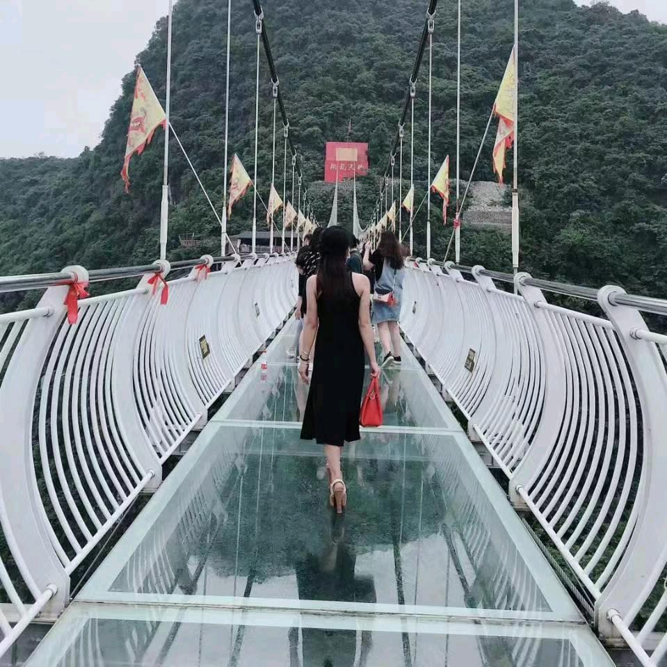 南楠