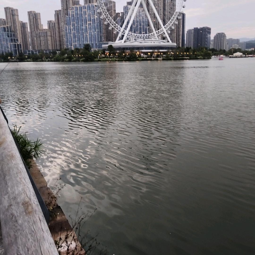 我的梦想是你