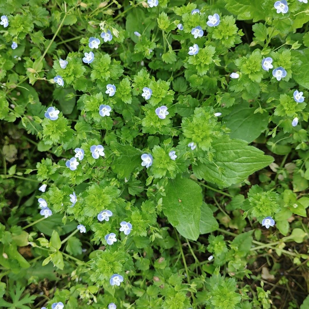蒸蒸日上