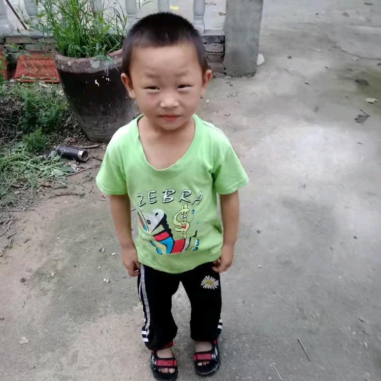 回乙
