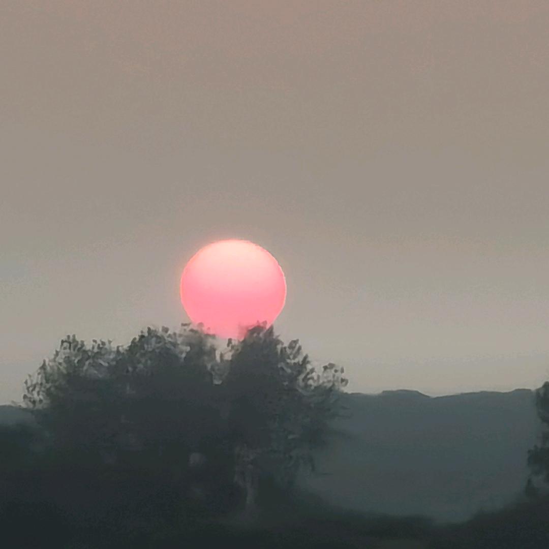 芳妹讲房