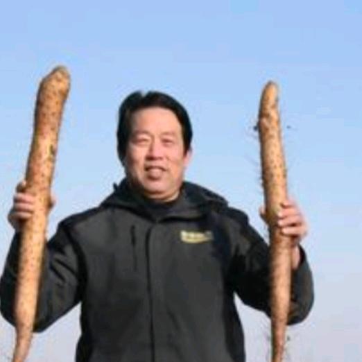 平度山药哥