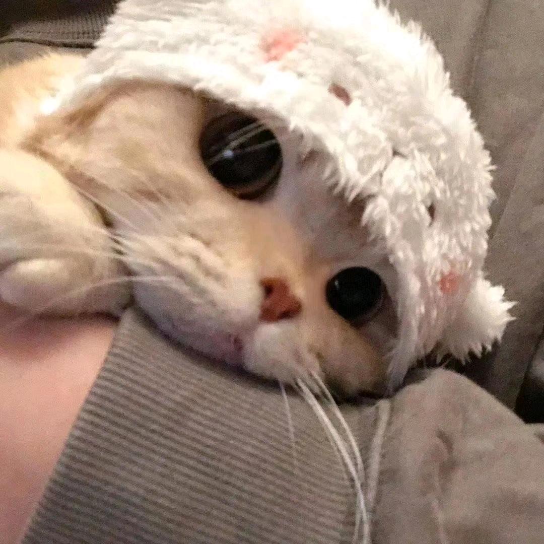此间少年