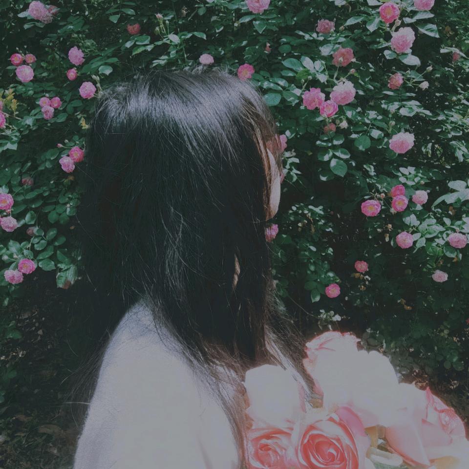 铃儿响叮铛头像