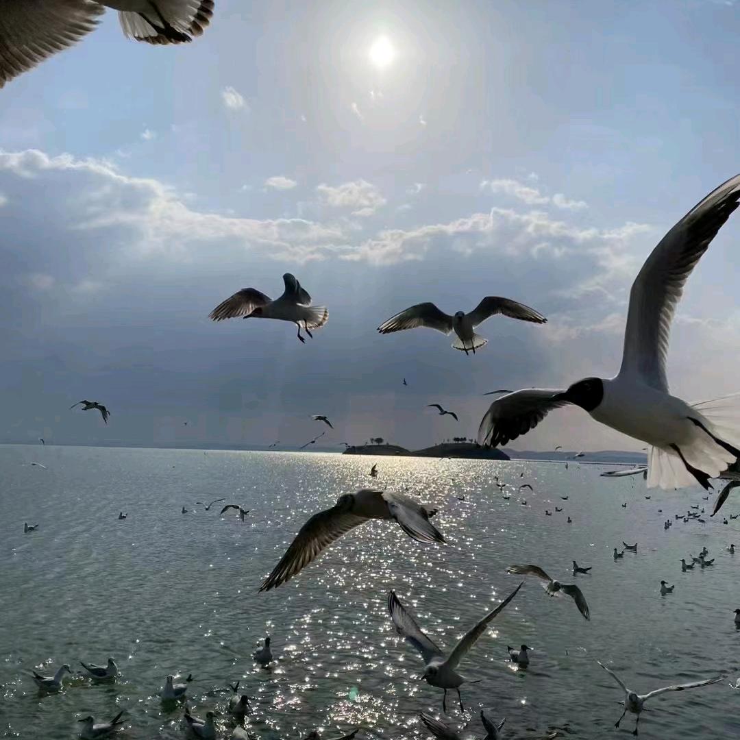 ꦿ໊心中有梦想᭄🕊脚下有远方᭄ꦿᩚ٭