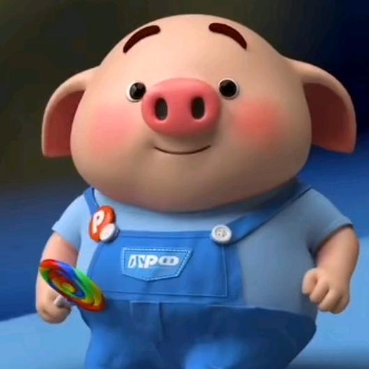 小猪每天笑一笑