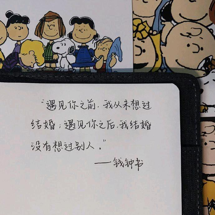 中原胶王装饰板材