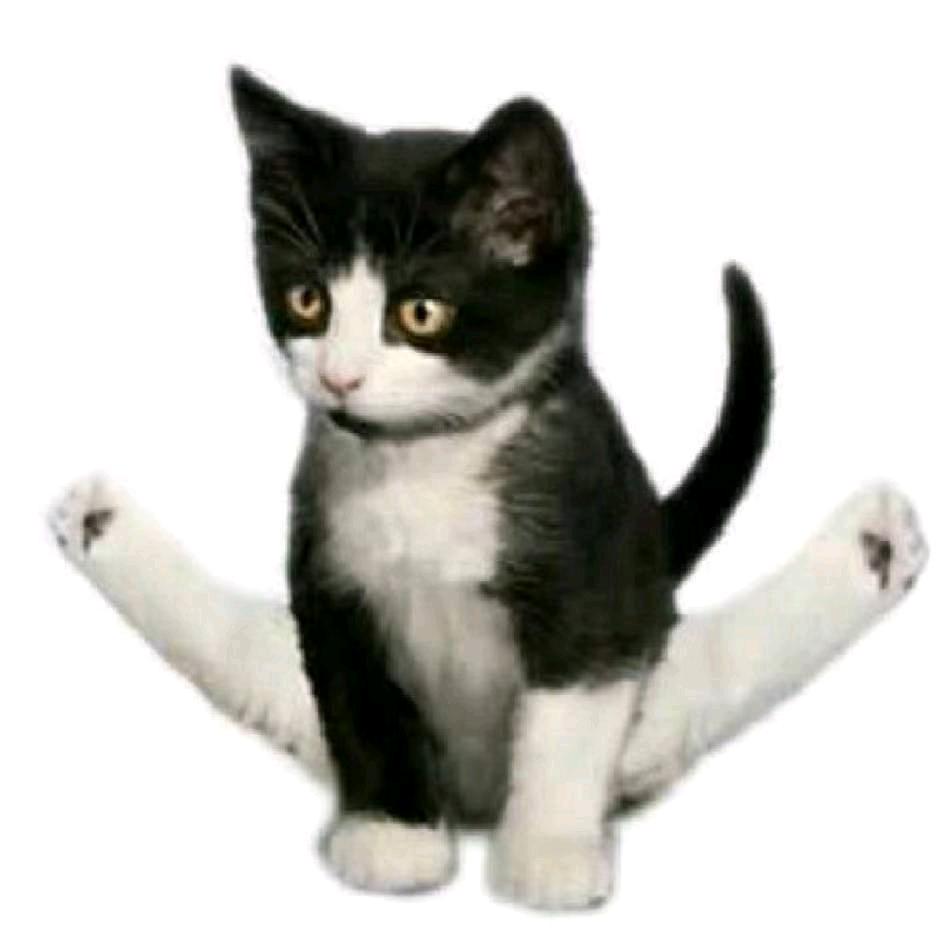 杨杨杨