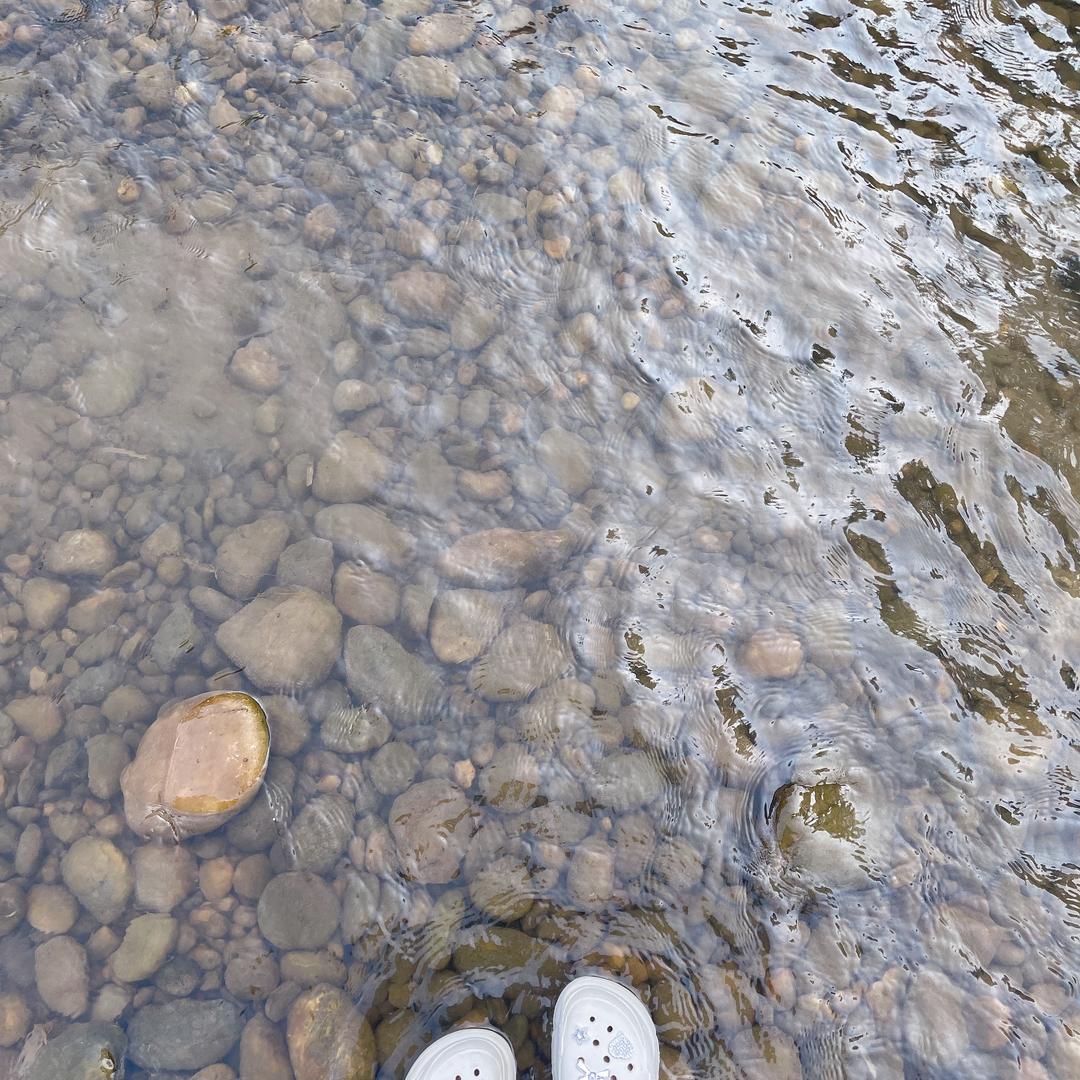 涂涂不糊涂