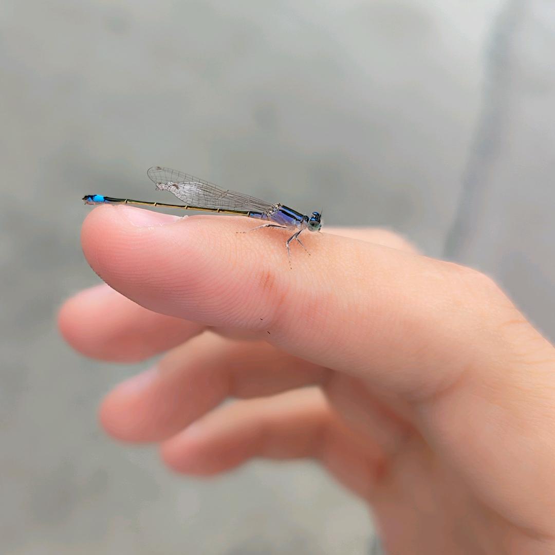 故事。
