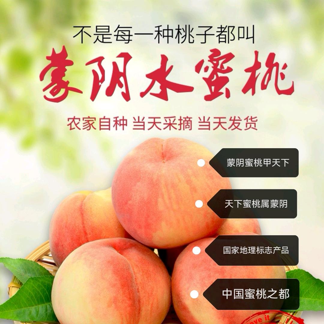 桃成蹊蒙阴蜜桃