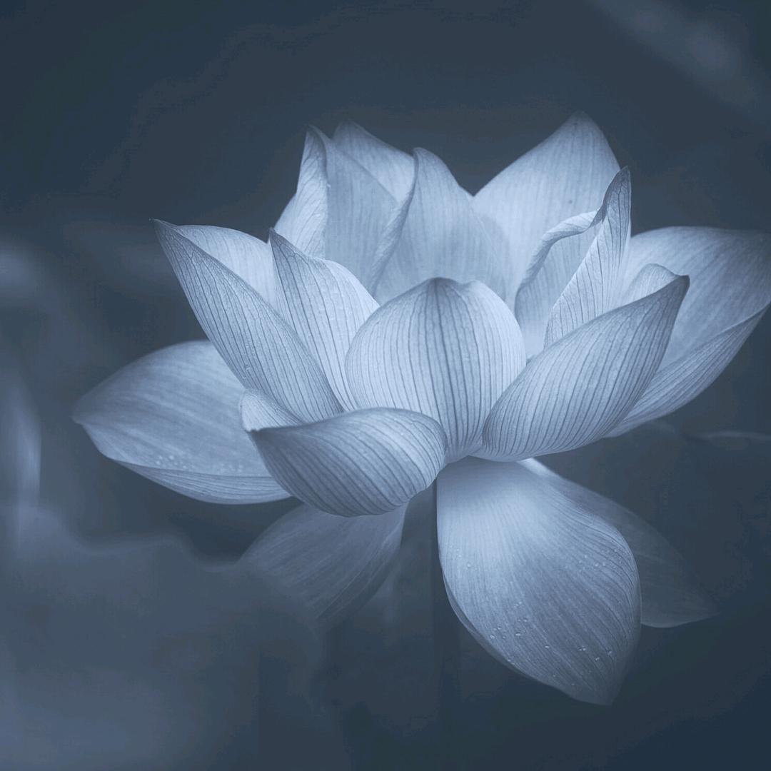 玄师傅