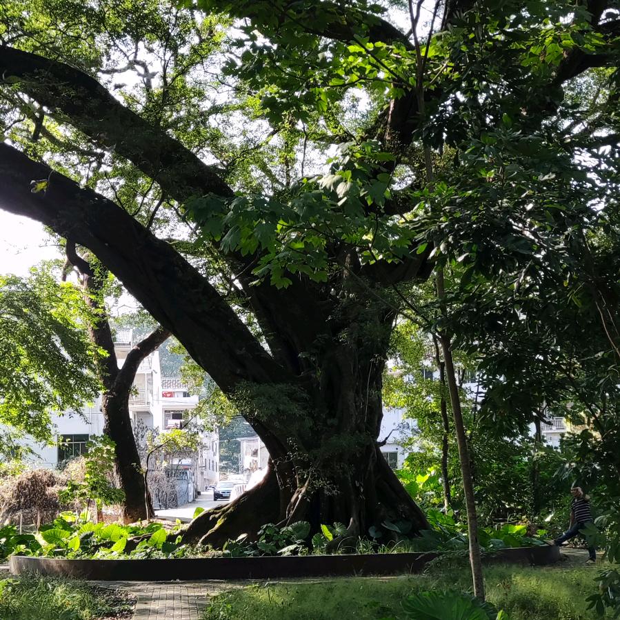 刘仕春