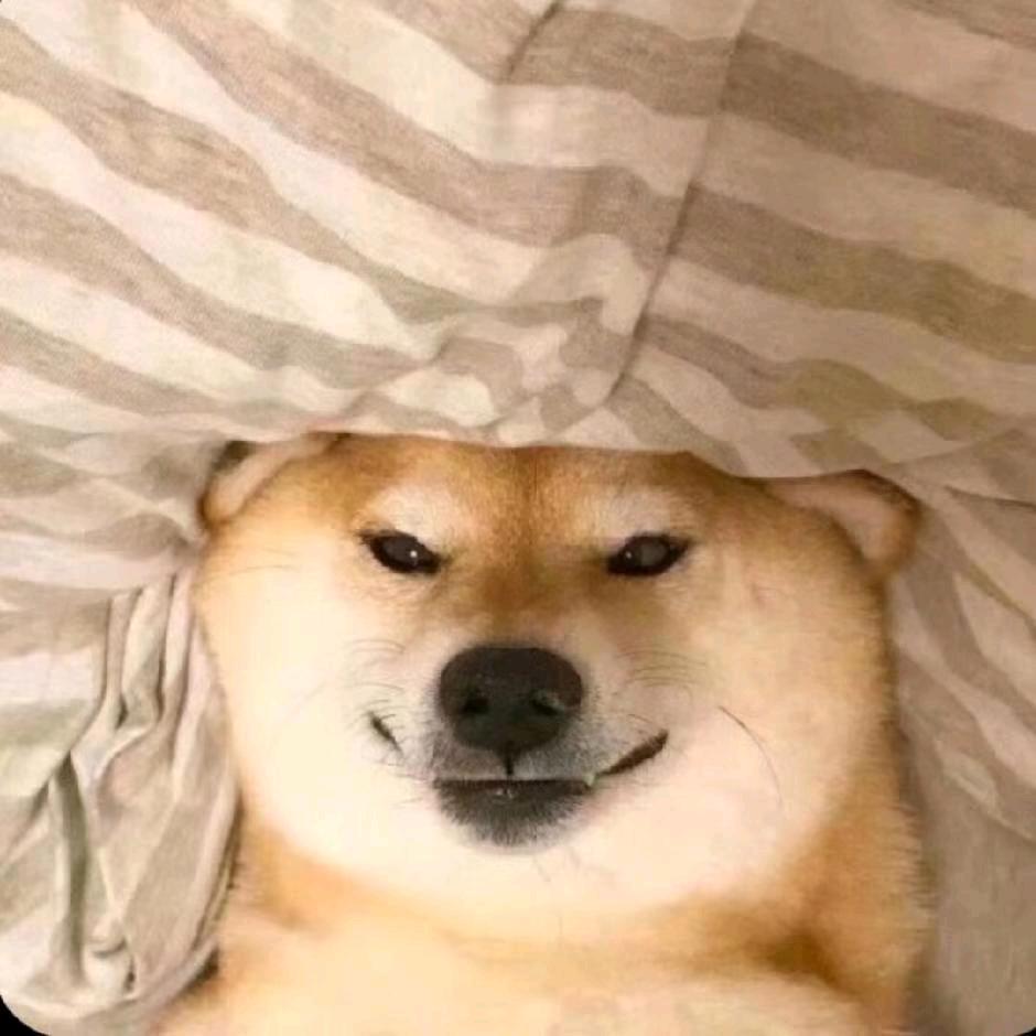 似