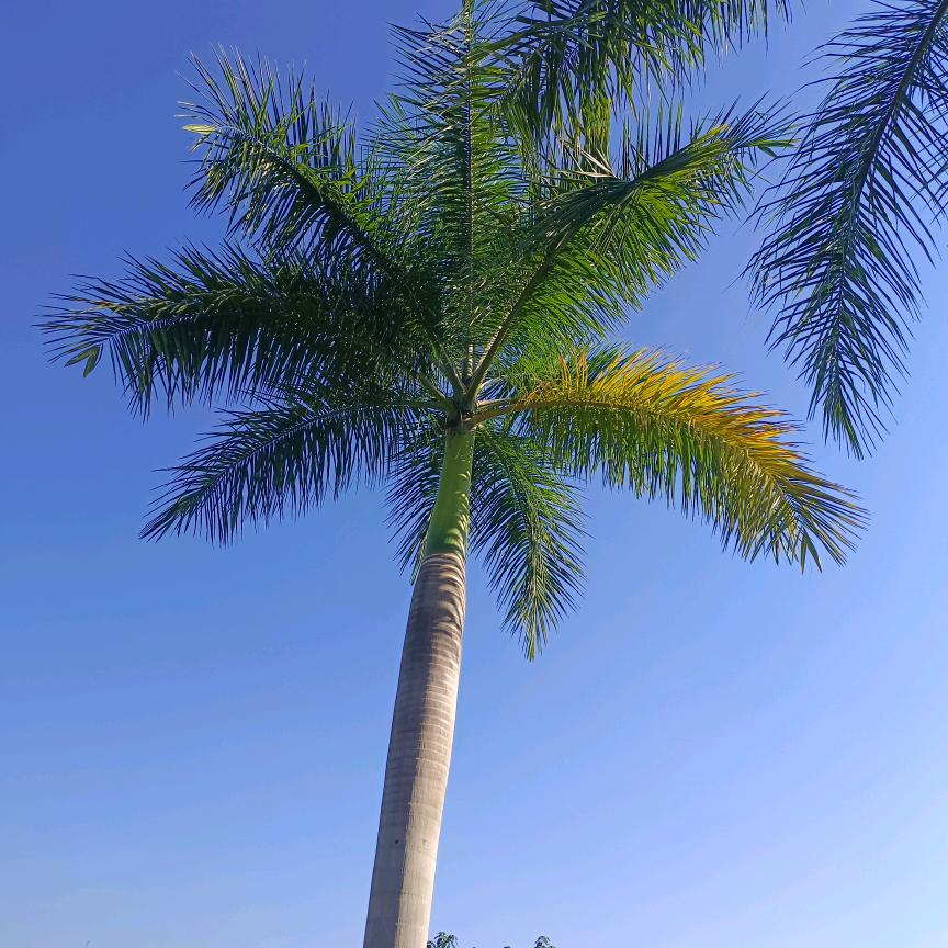 丽姐✿✿ヽ(°▽°)ノ✿