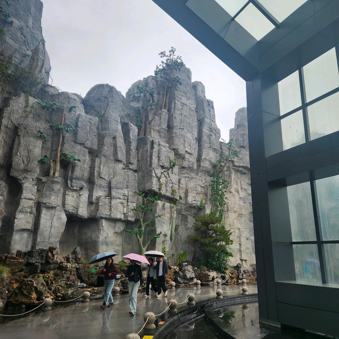 老坛