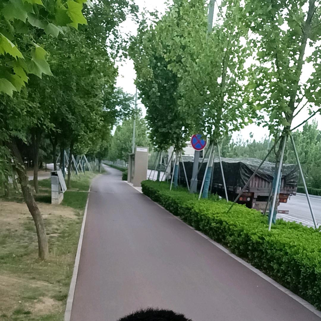 怡怡
