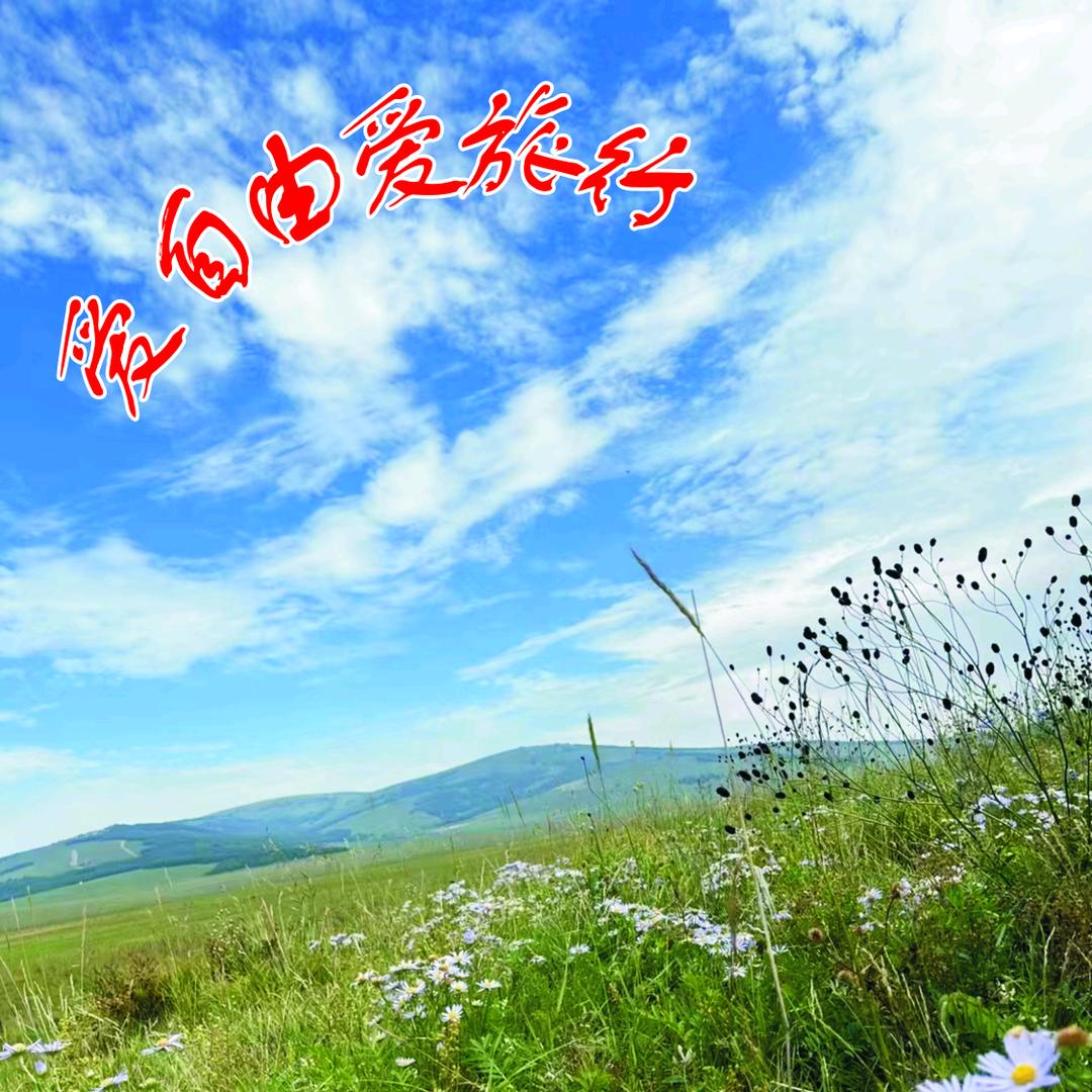 许昌爱自由旅行社