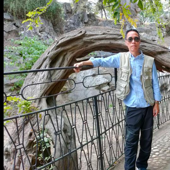 一半疯了，一半算了！