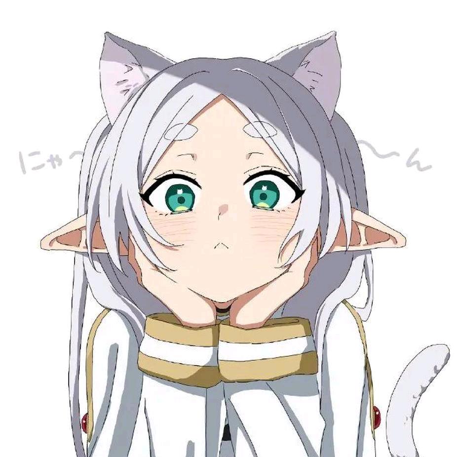 树袋熊（技能提升中）