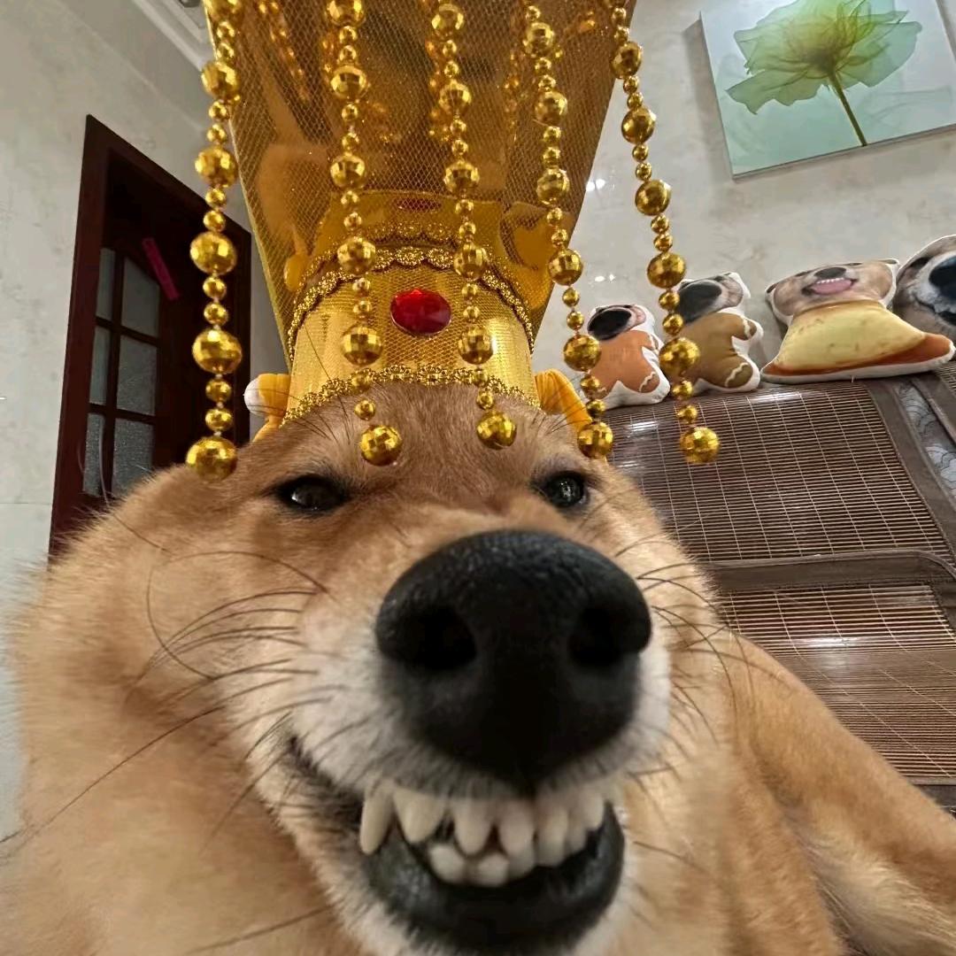 玻璃心