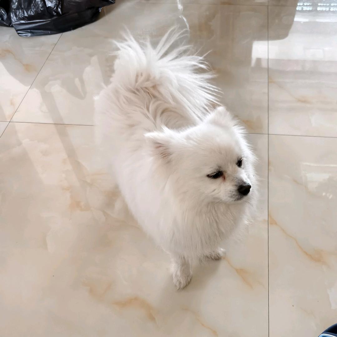 ヽ(✿ﾟ▽ﾟ)ノ奋斗