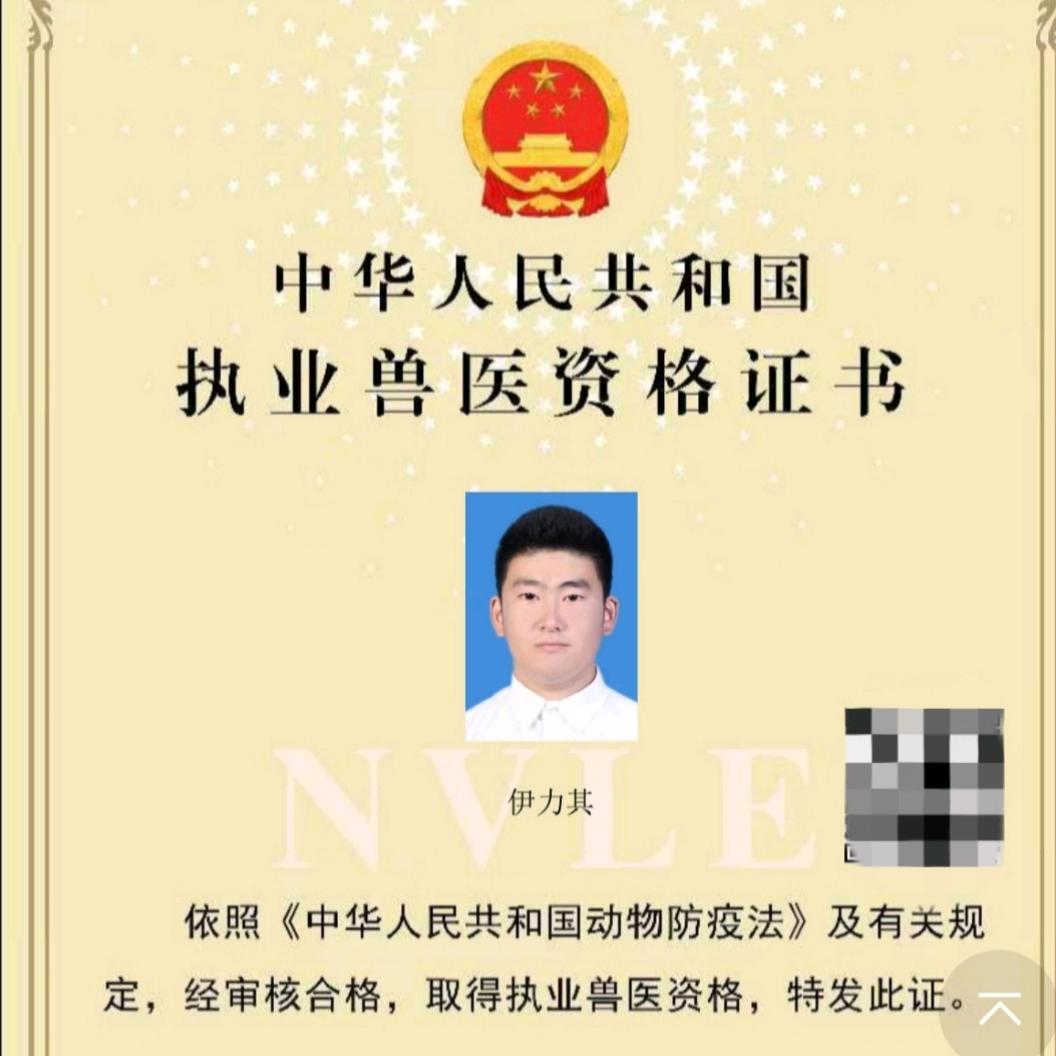 执业兽医小伊