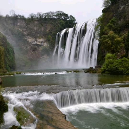 大渔海棠春和秋