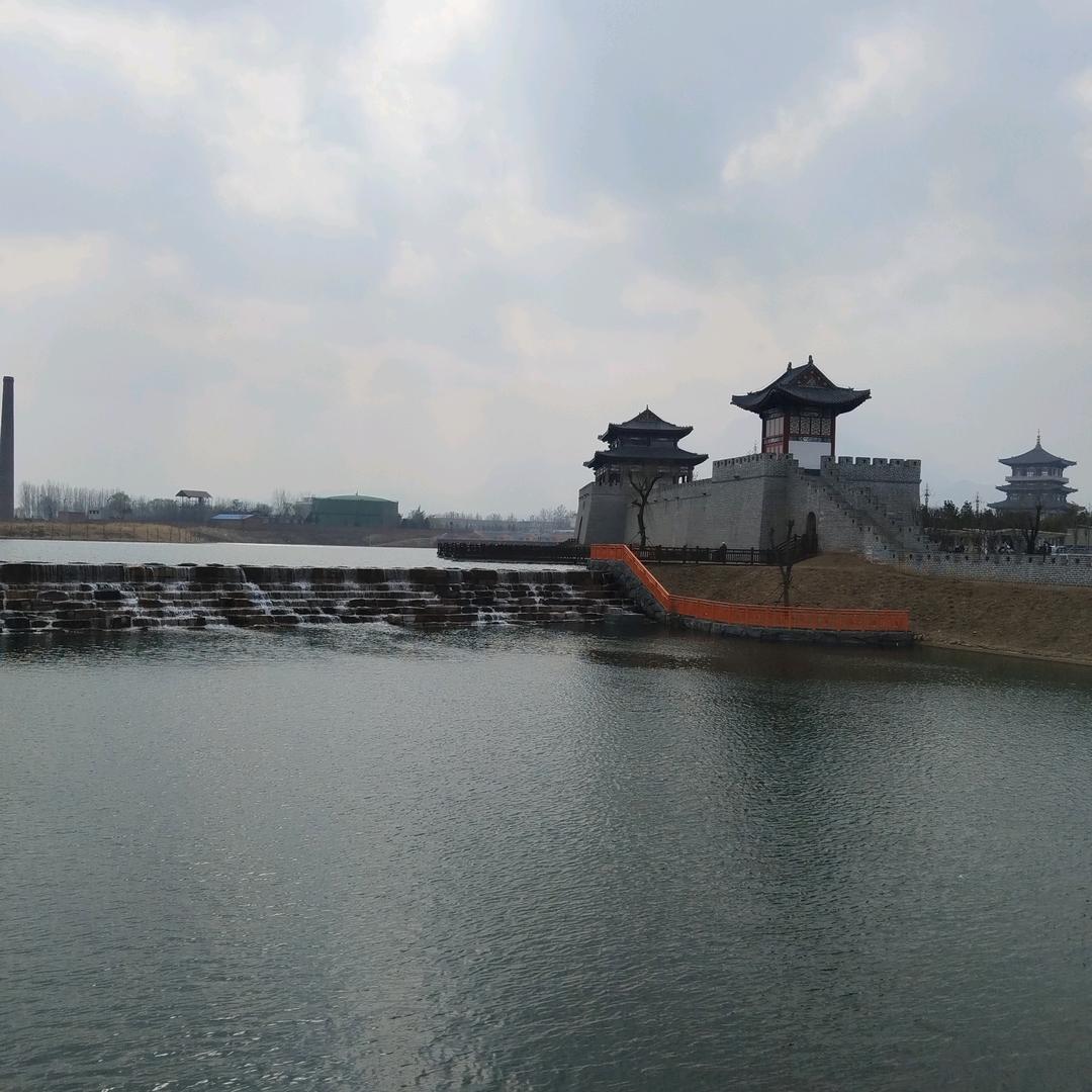 油菜花