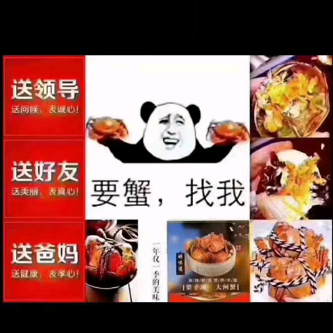 小程螃蟹龙虾零售批发