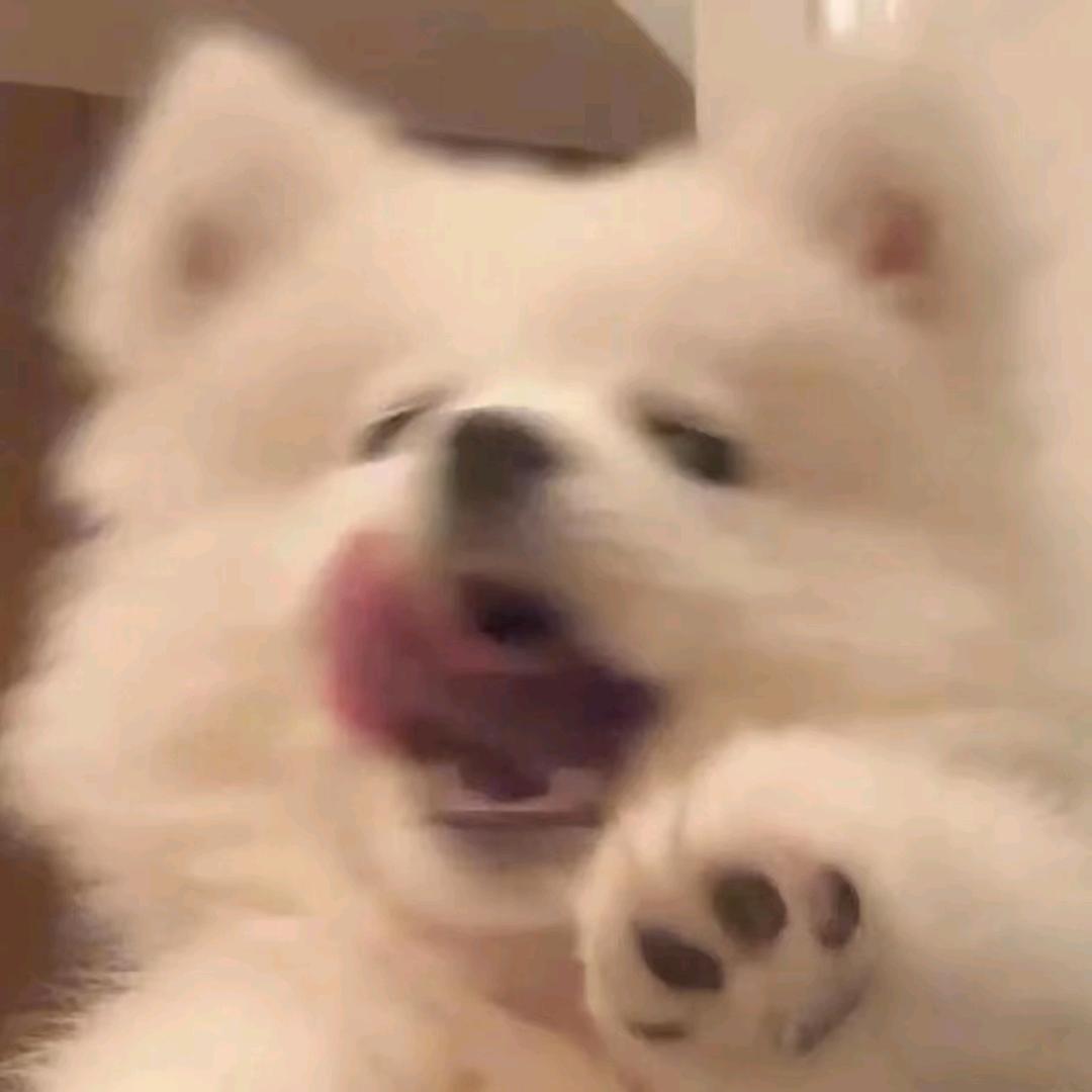 ୧꒰•̀ᴗ•́꒱୨