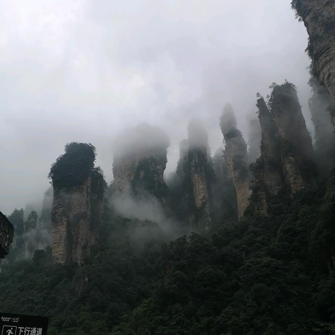 冬