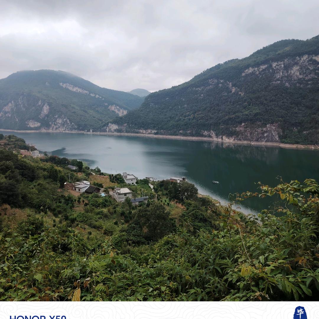 💐别🌸动🌺情🌷会🌴伤🌹