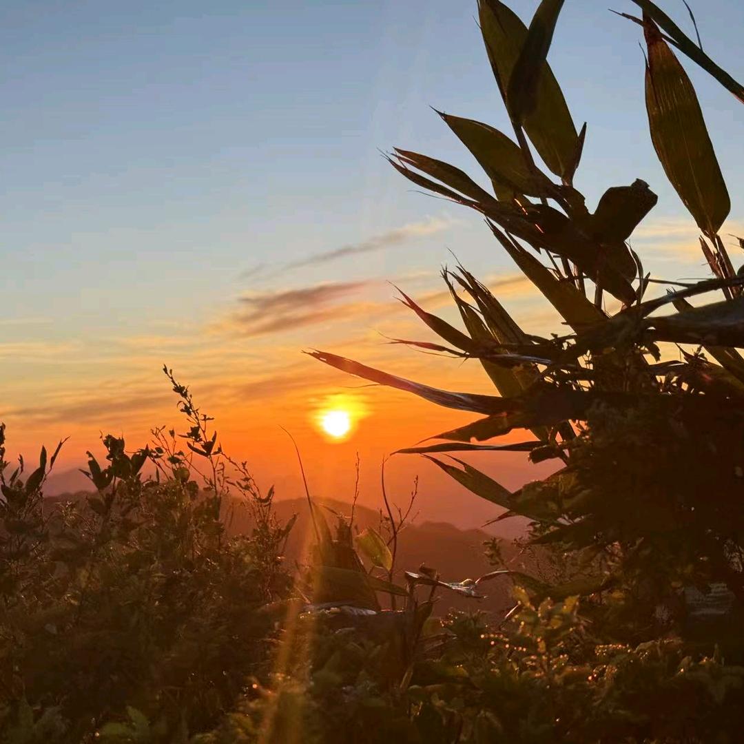 小万（吃丹修仙）