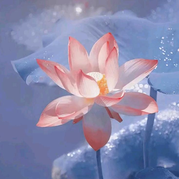 你的理科生友友