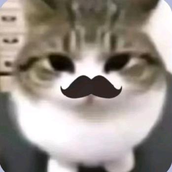 绅士猫