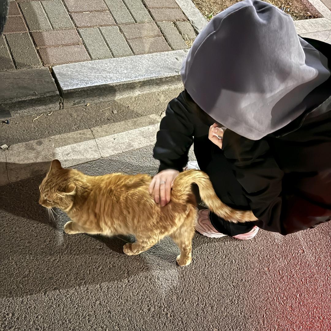 怦然心动