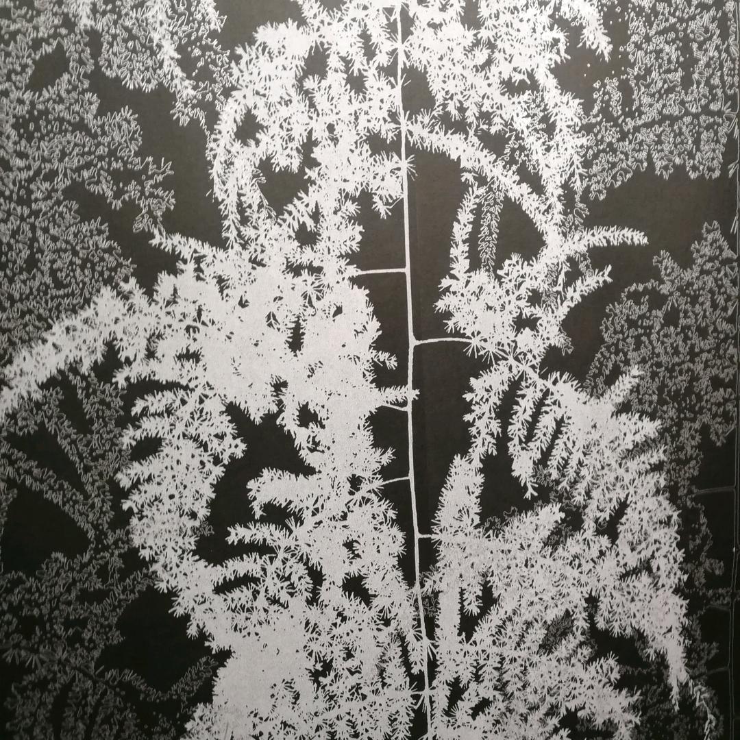 东