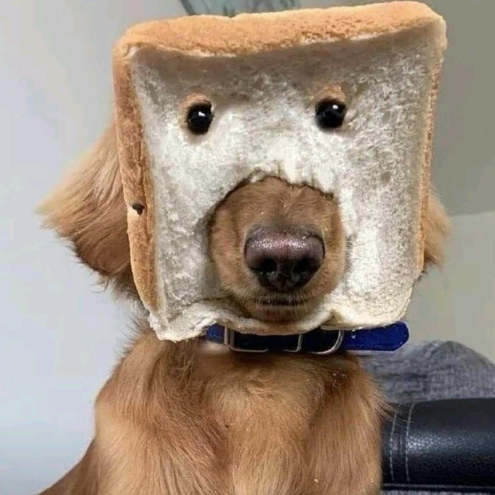 这个杀手不太冷静