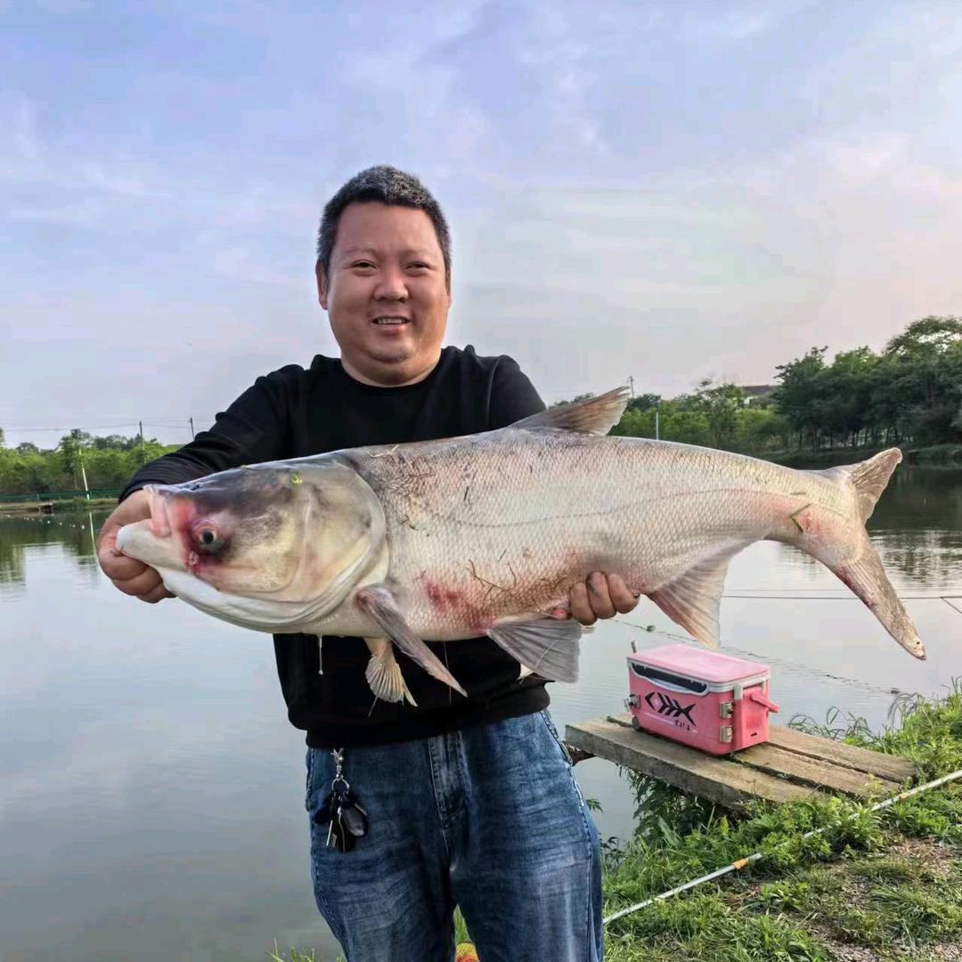 房车老蔡爱钓鱼🎣