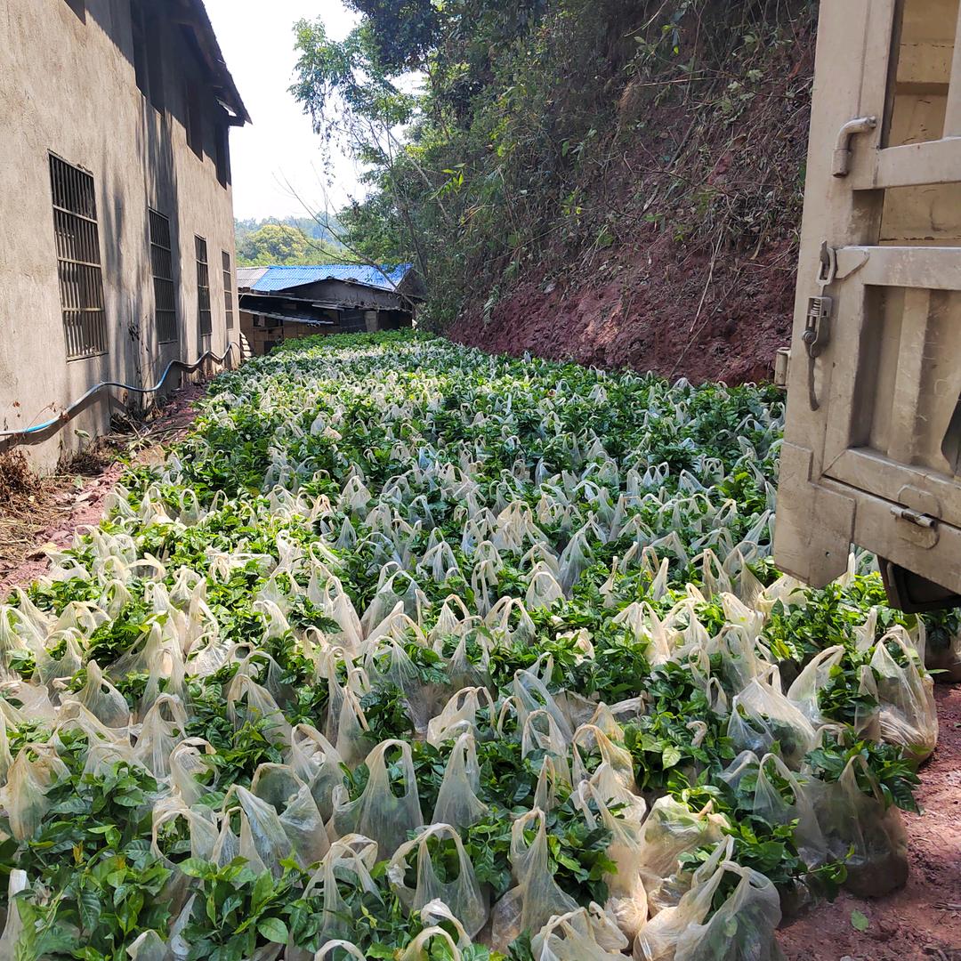 无缘而去，有缘再来。