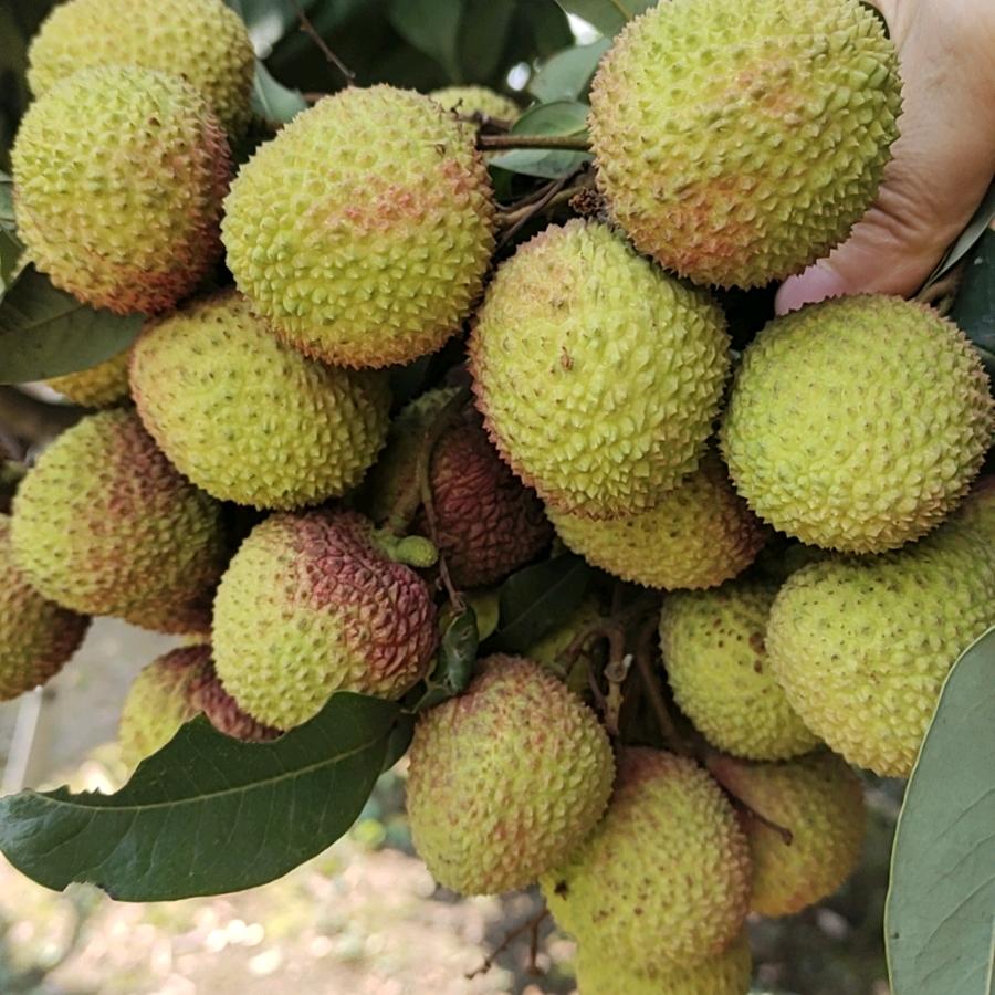 💕₅²⁰傻ઈོ丫头¹ᶟ₁₄