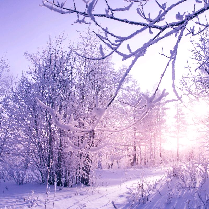 二手设备/老李/湖南湖北陕西地区